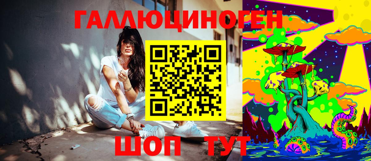 Ногинск  Псилоцибиновые грибы Psilocybe  Вход с VPN 